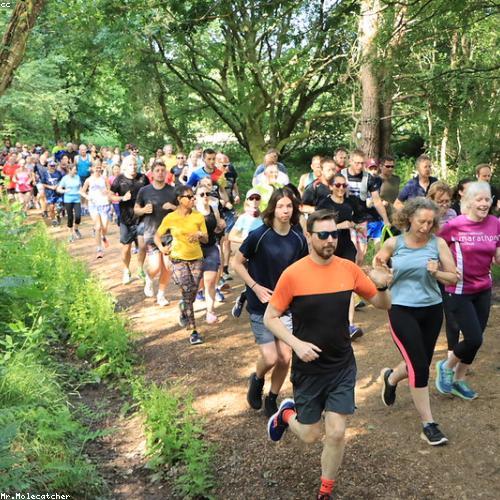 Health, Beauty & Wellness category image