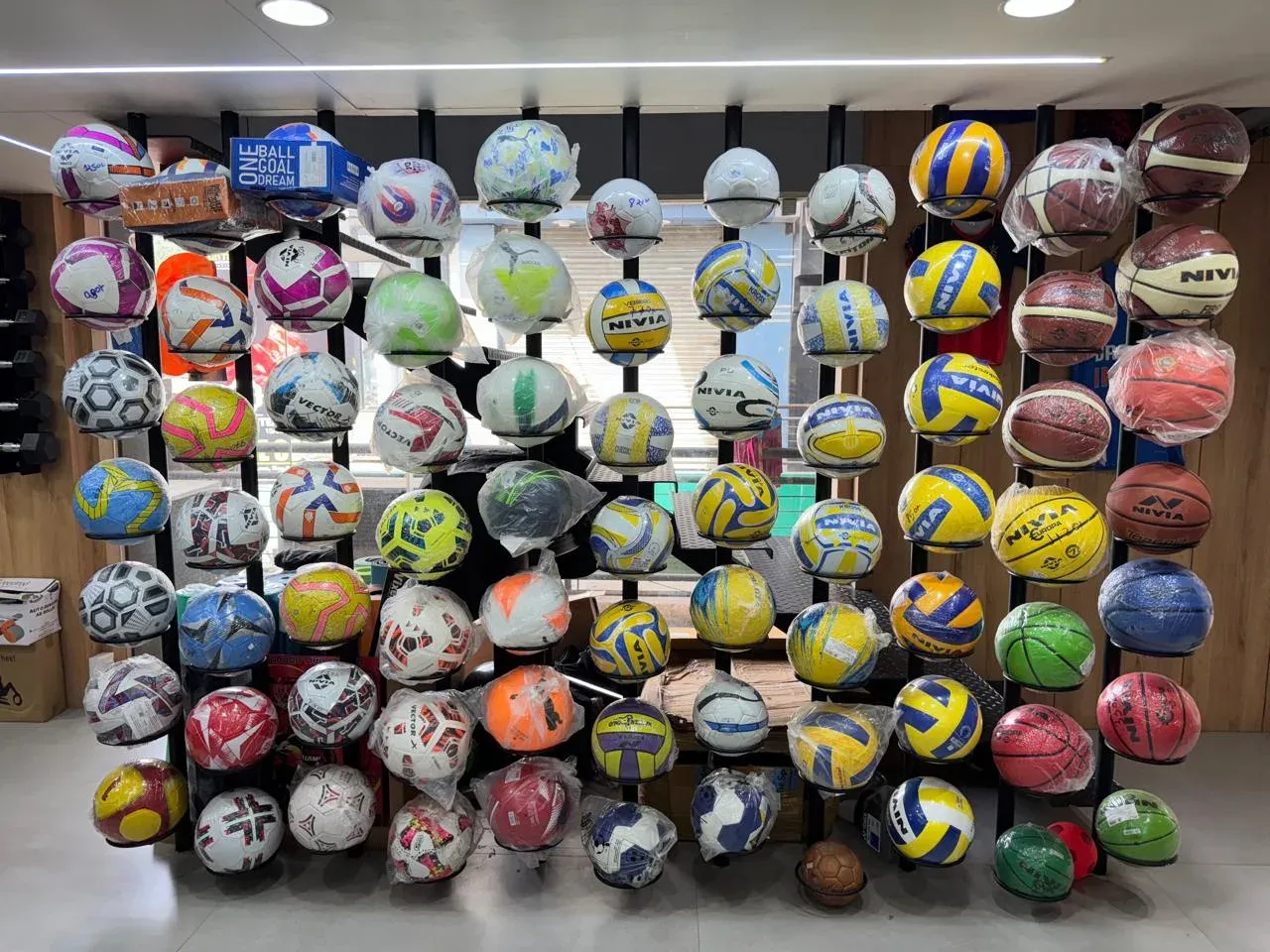 Sports & Fitness Equipment Store | Badminton, Cricket, Gym & Indoor Games