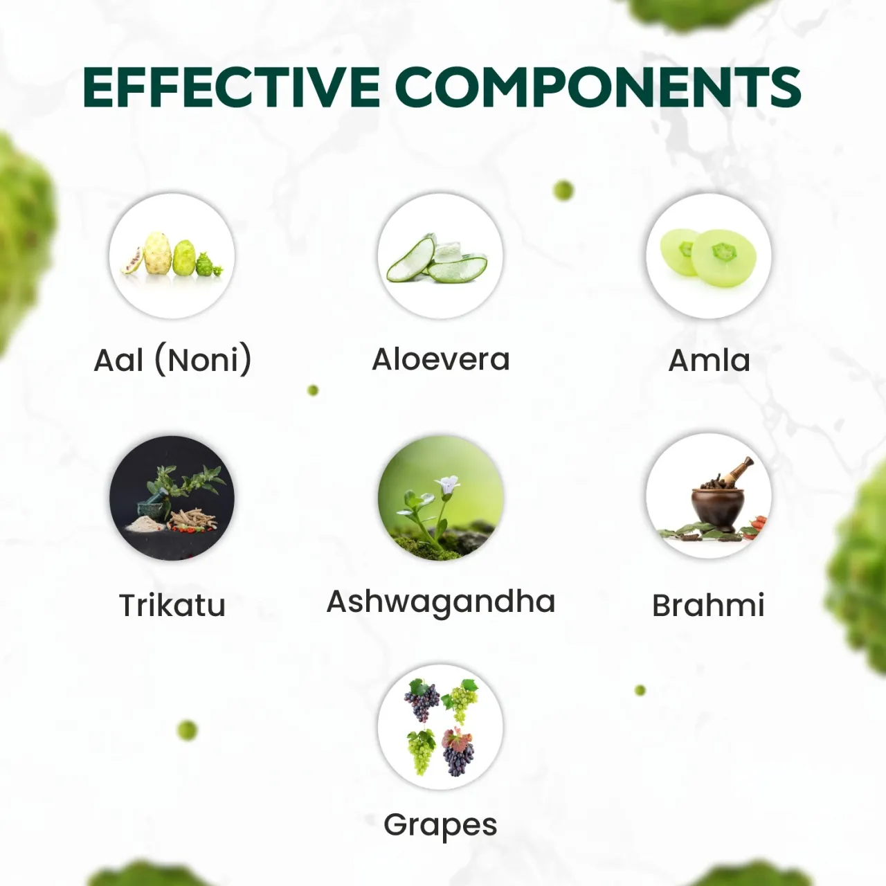 Teamex Noni Wellness Drink - Immunity booster drink