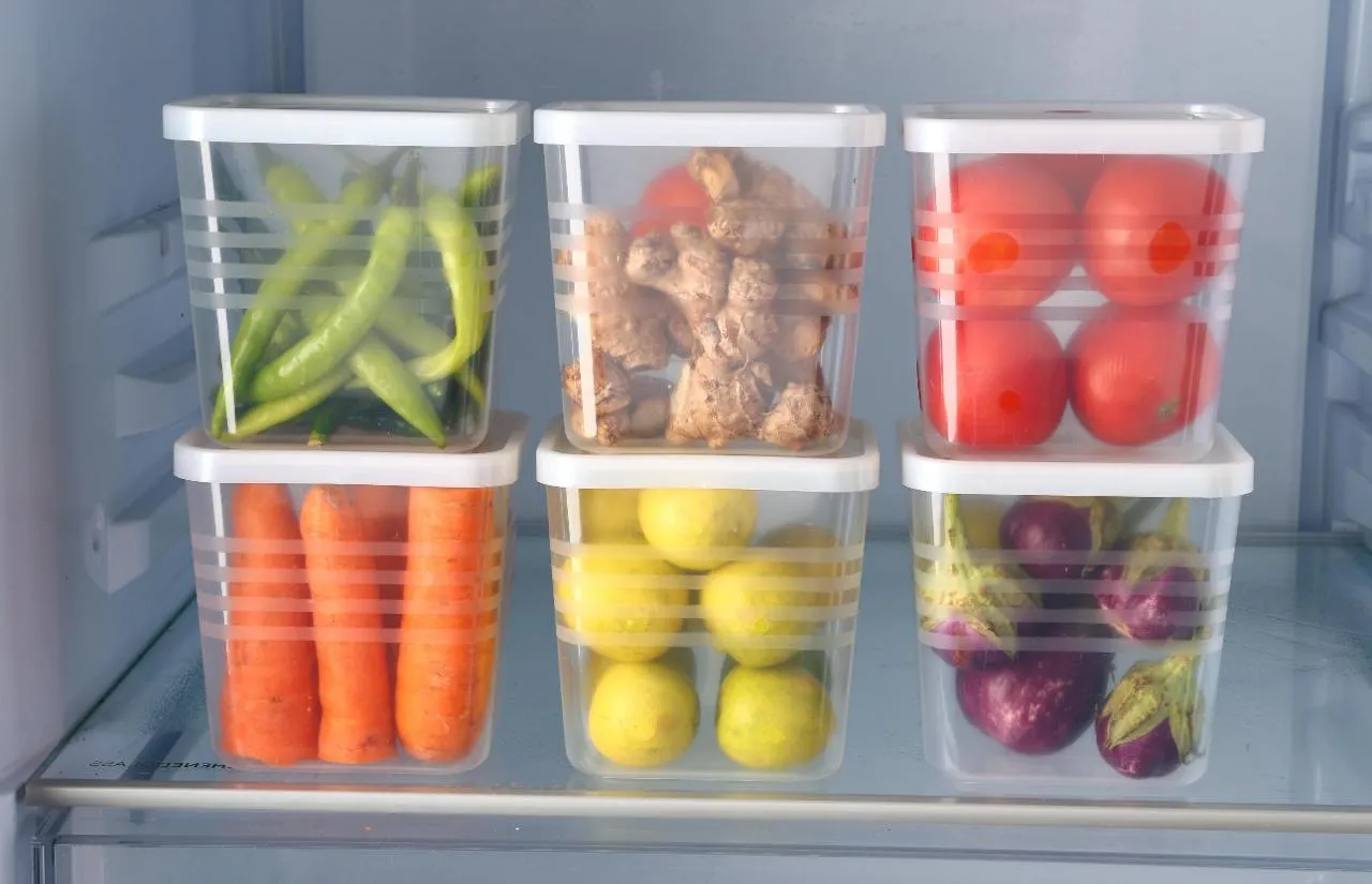 FRIGDE CONTAINER PACK OF 6