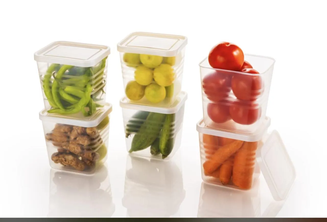 FRIGDE CONTAINER PACK OF 6