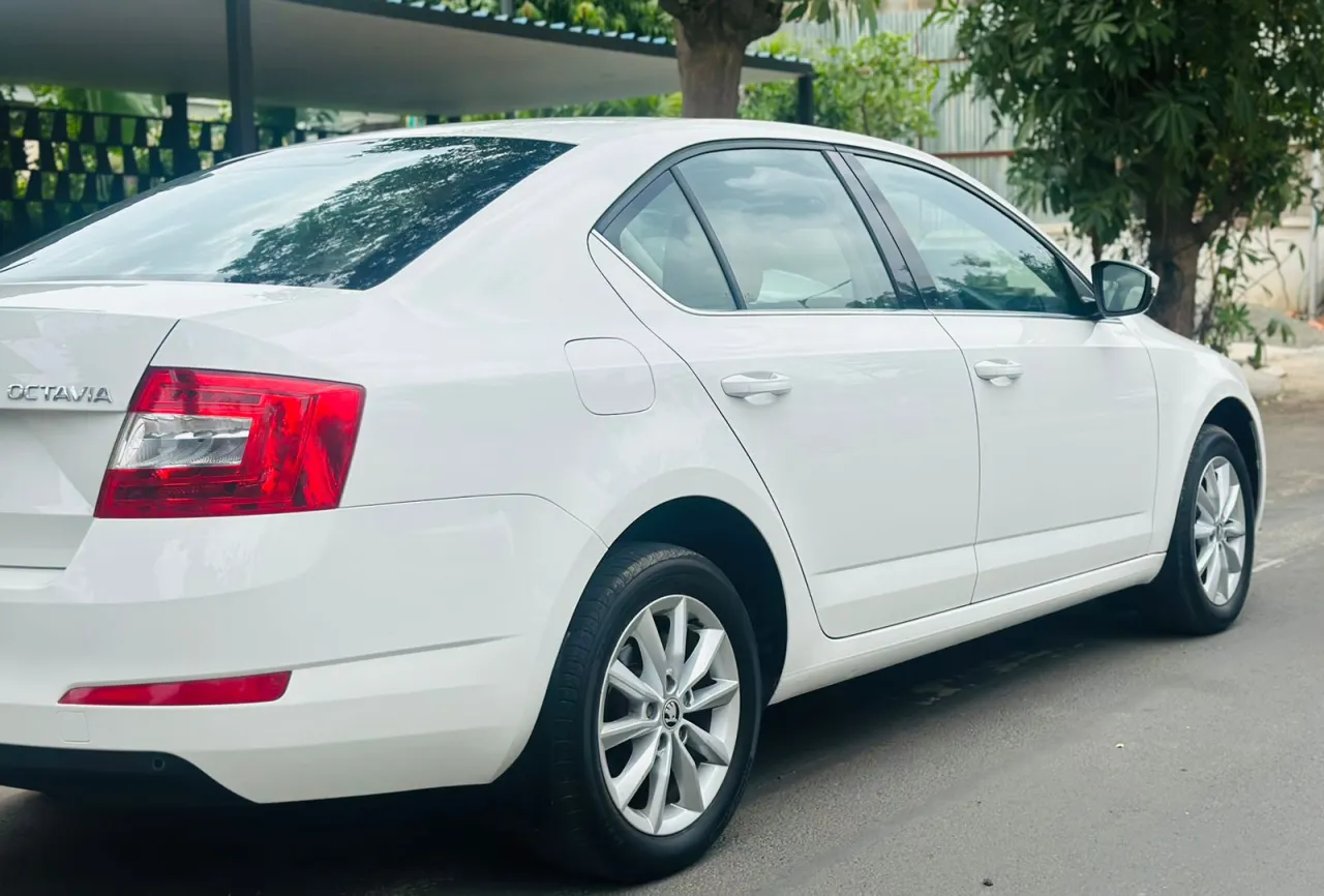 Skoda octavia