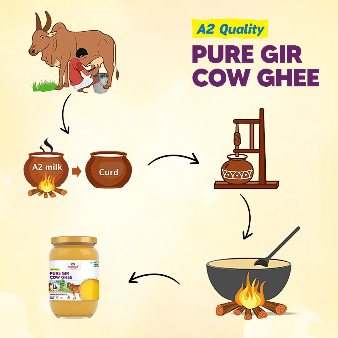 Molimor Pure Gir Cow Ghee-A2 500ml