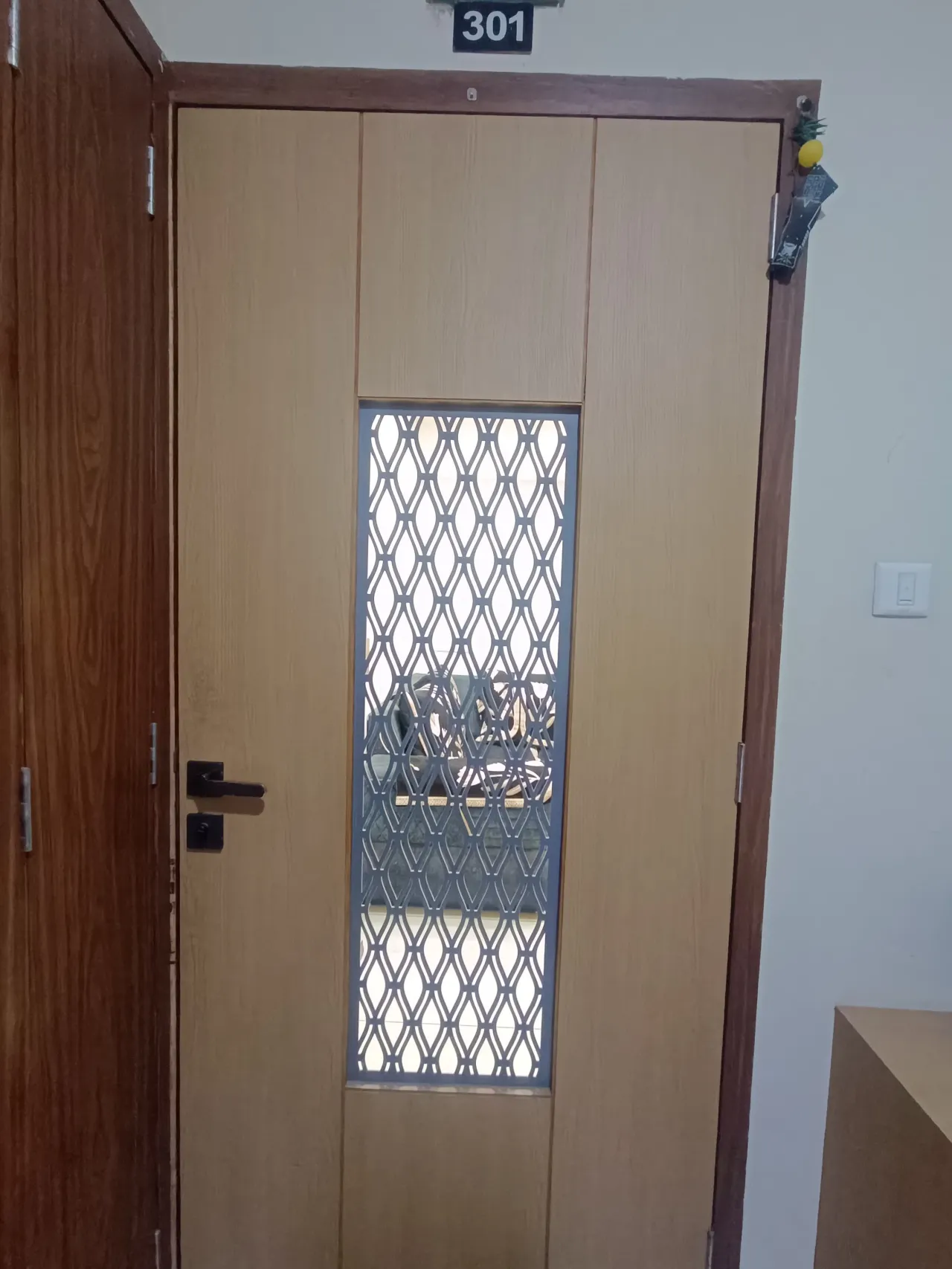 3bhk Fully Furnished
