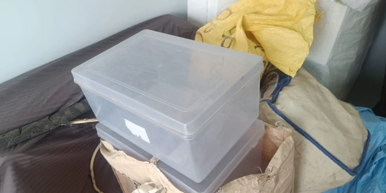 Plastic jewellery/storage box
