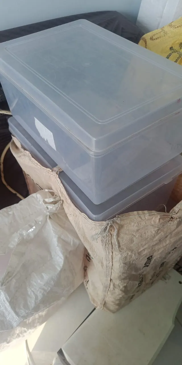 Plastic jewellery/storage box