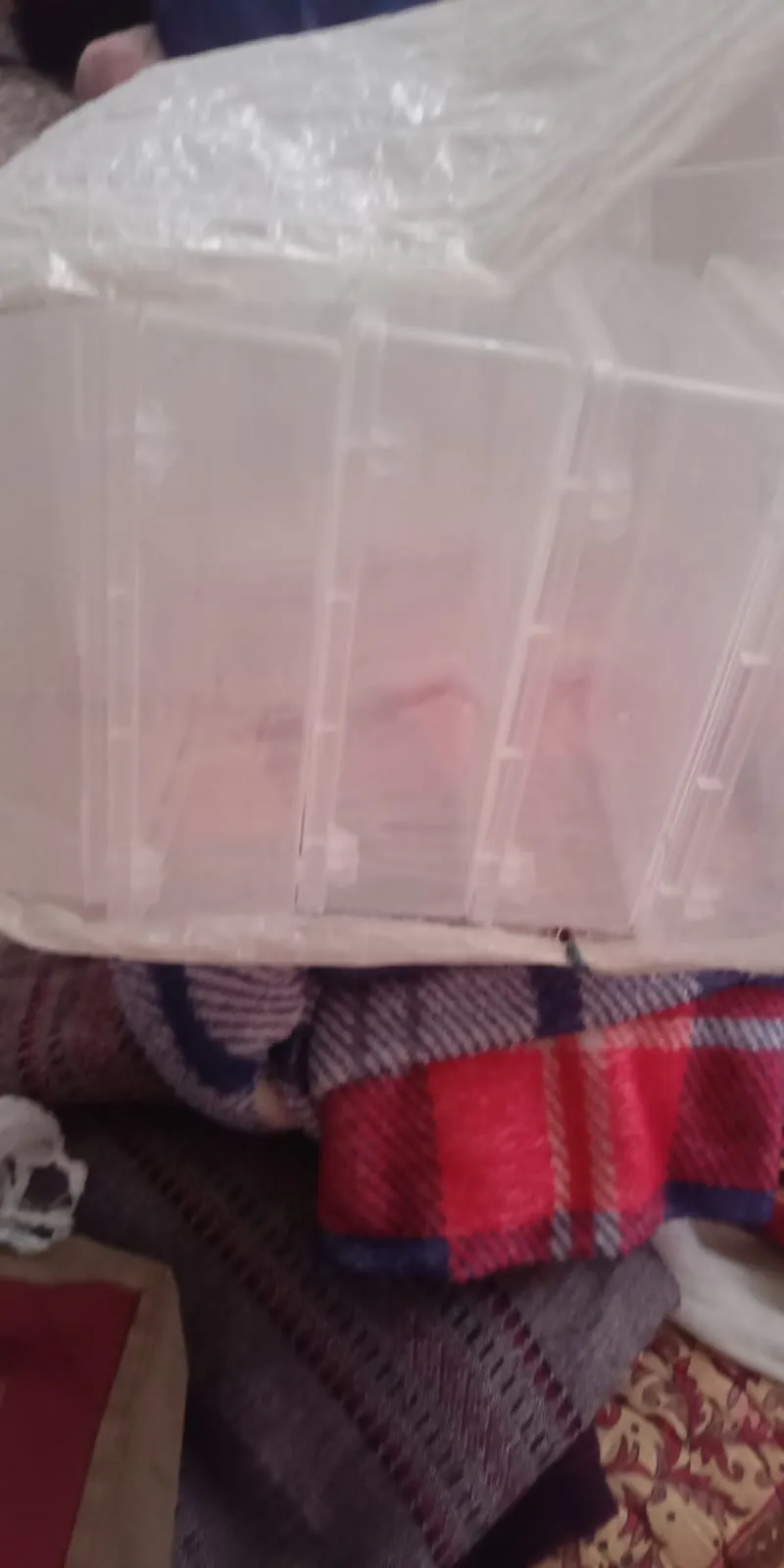 Plastic jewellery/storage box
