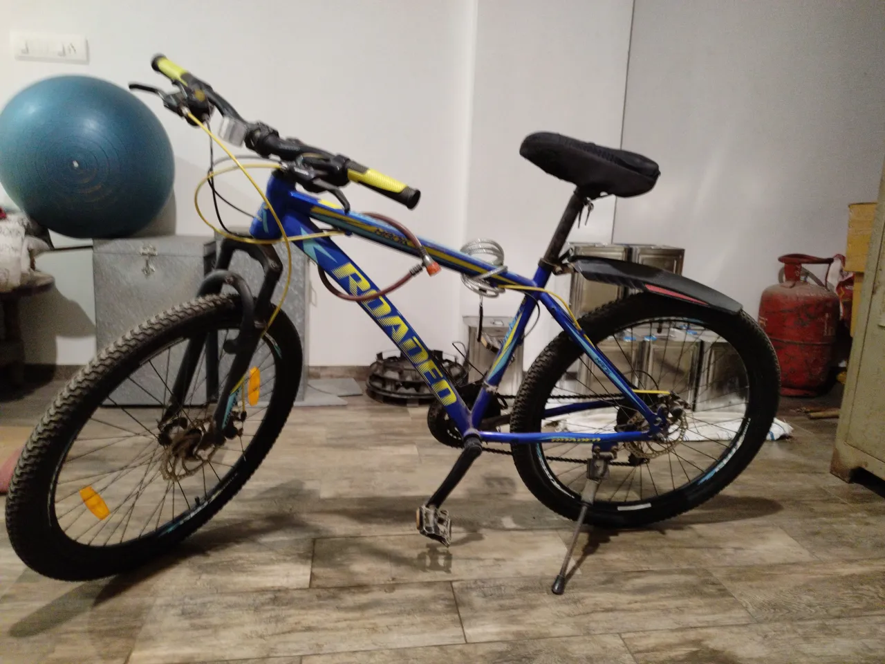 Roadeo bicycle