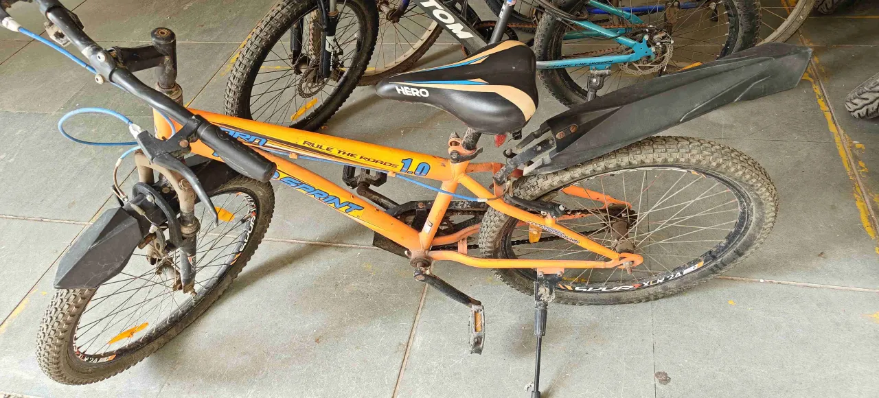 5 year old Cycle