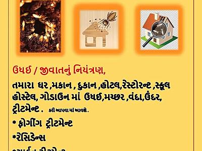 આપણા ઘર અને ઓફિસમાં ઉંધઈ છે તો ટ્રીટમેન્ટ કરાવો 15વષૅ ની ગેરંટી બીલ સાથે