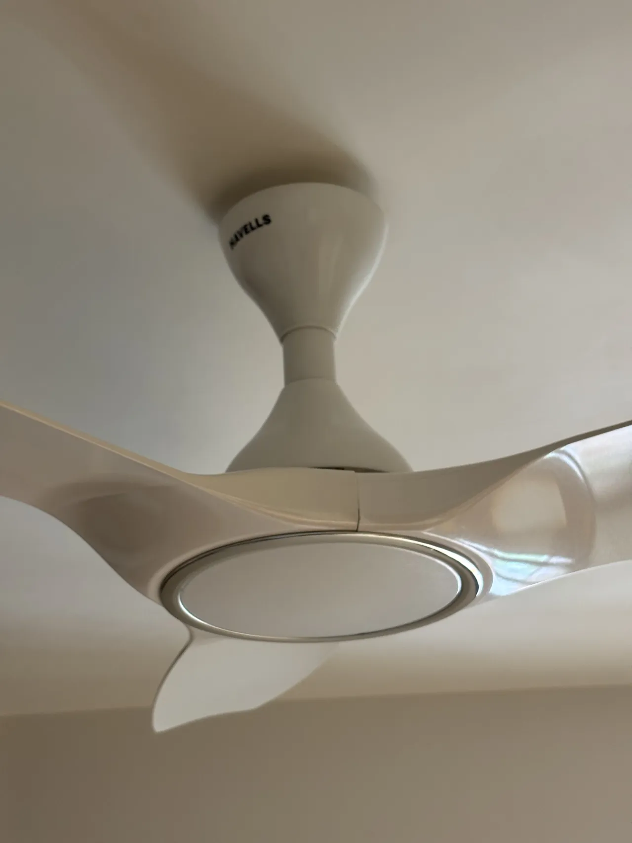 3 regular ceiling fan on sale