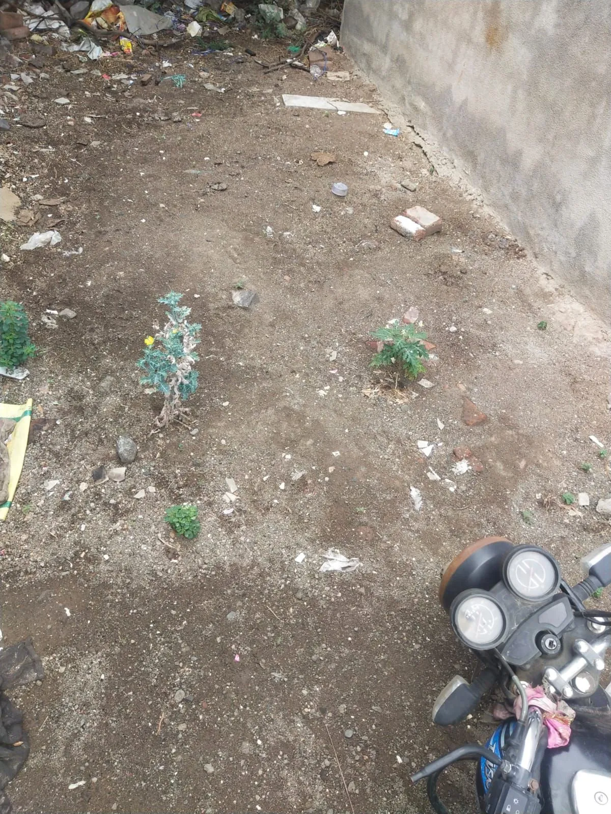 25 mtr plot