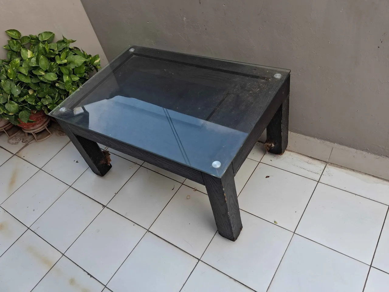 Two Patty Palang and One center table