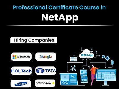 NetApp Training: Can You Master ONTAP & Modern Storage Administration?