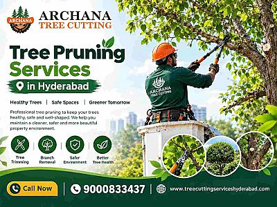 Tree Pruning Services in Hyderabad – Archana Tree Cutting Services