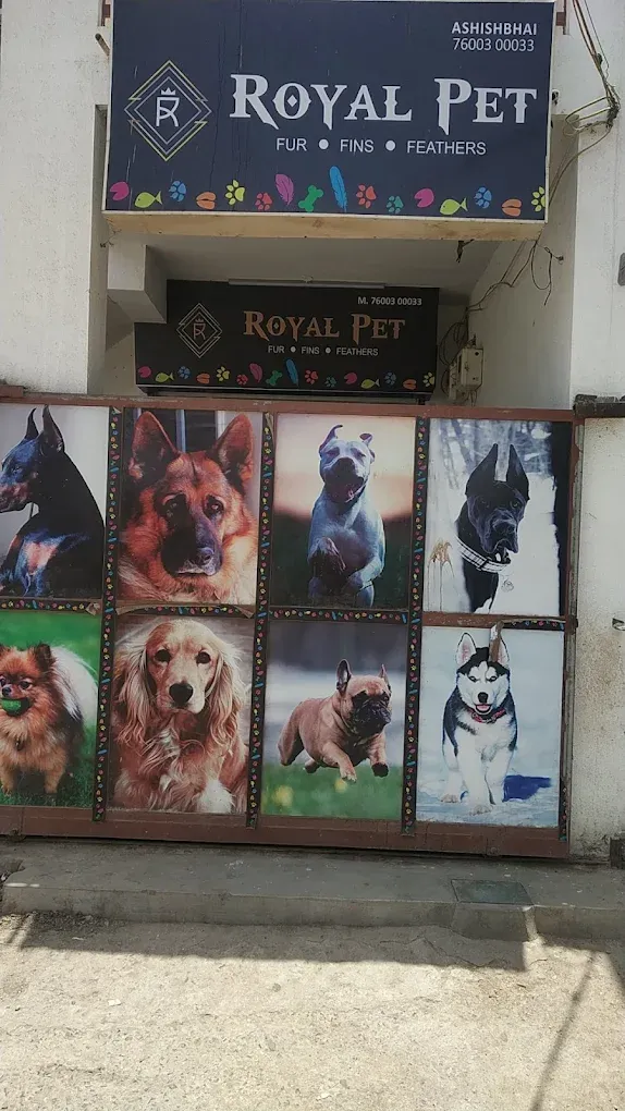 Royal Pet