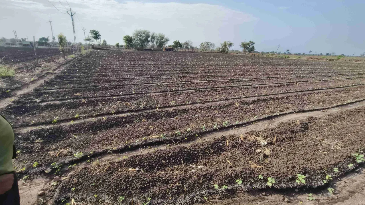 Agriculture Land