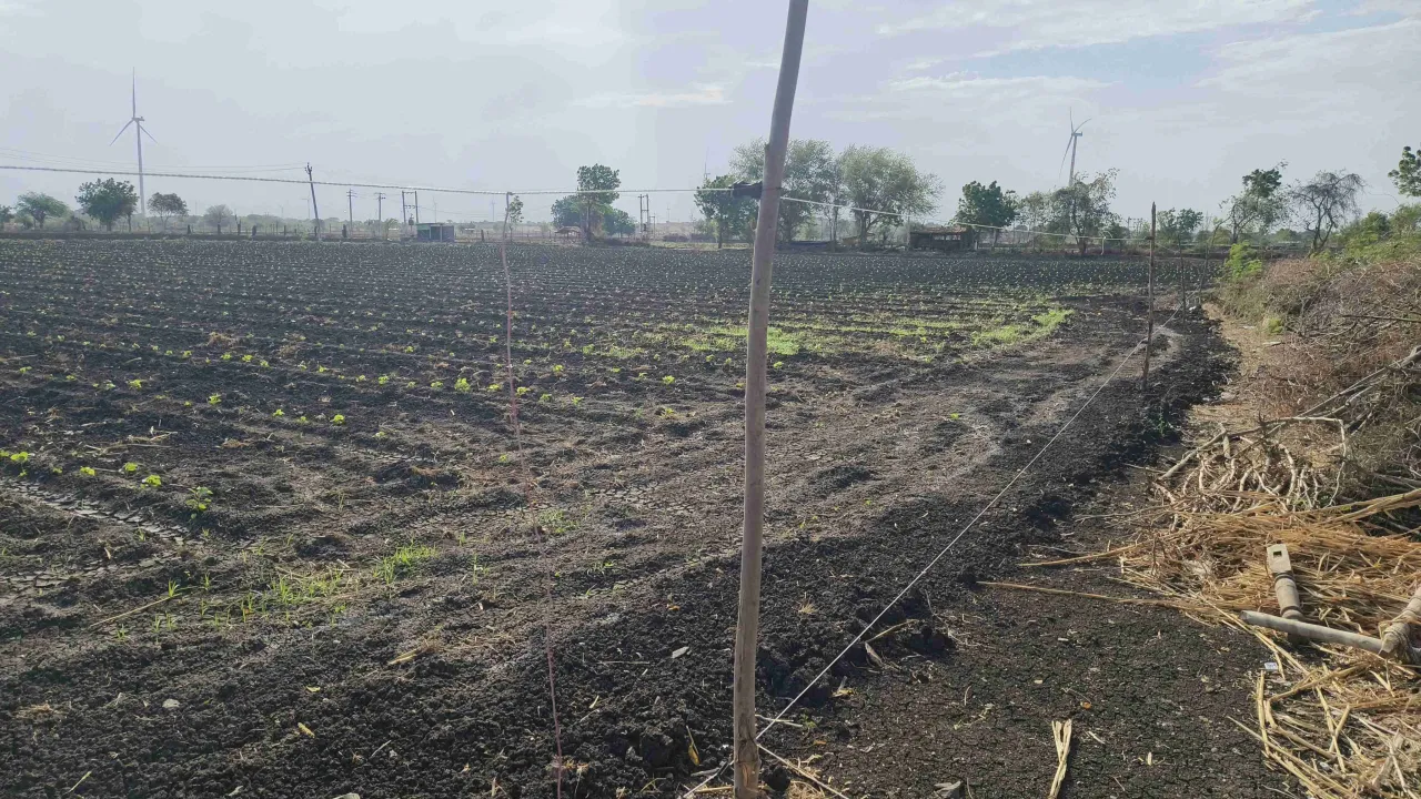 Agriculture Land