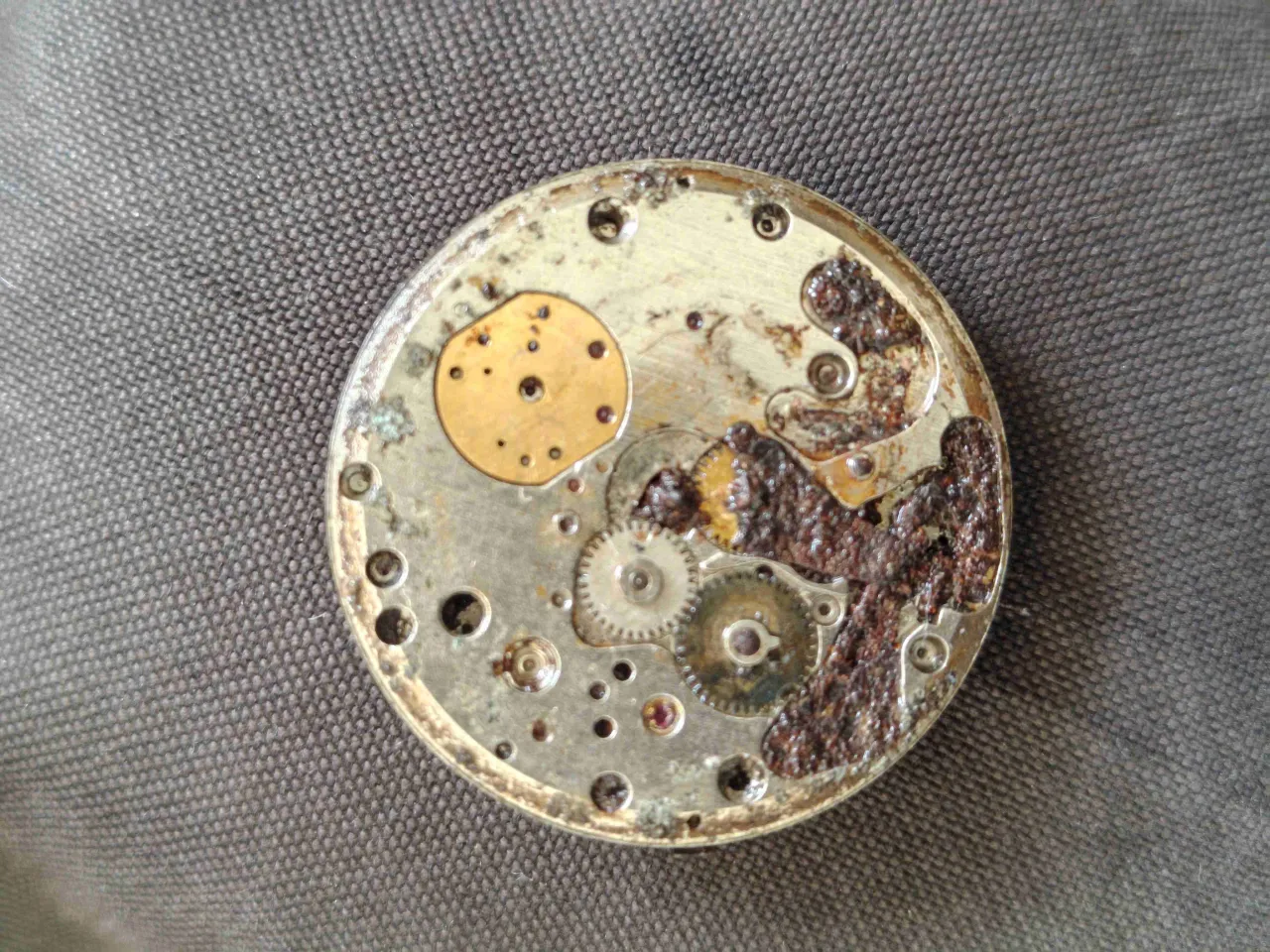 Universal geneva watch